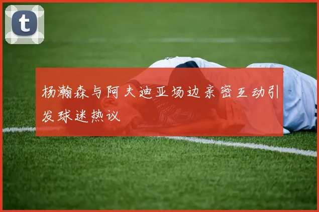 杨瀚森与阿夫迪亚场边亲密互动引发球迷热议