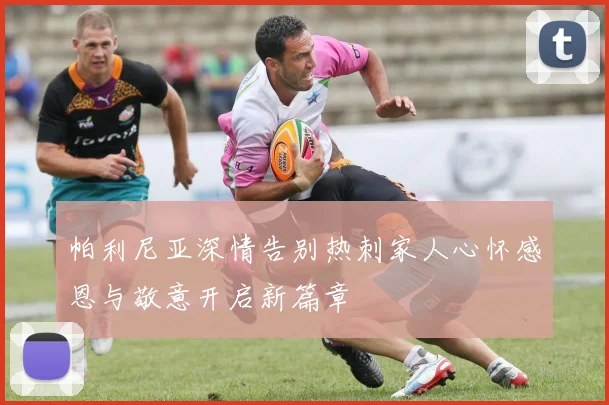 帕利尼亚深情告别热刺家人心怀感恩与敬意开启新篇章