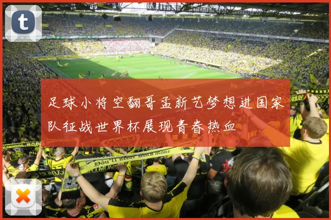 足球小将空翻哥孟新艺梦想进国家队征战世界杯展现青春热血